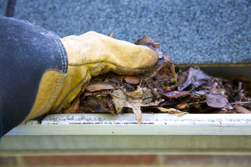 Clogged Gutter Clearing in Boulder, CO