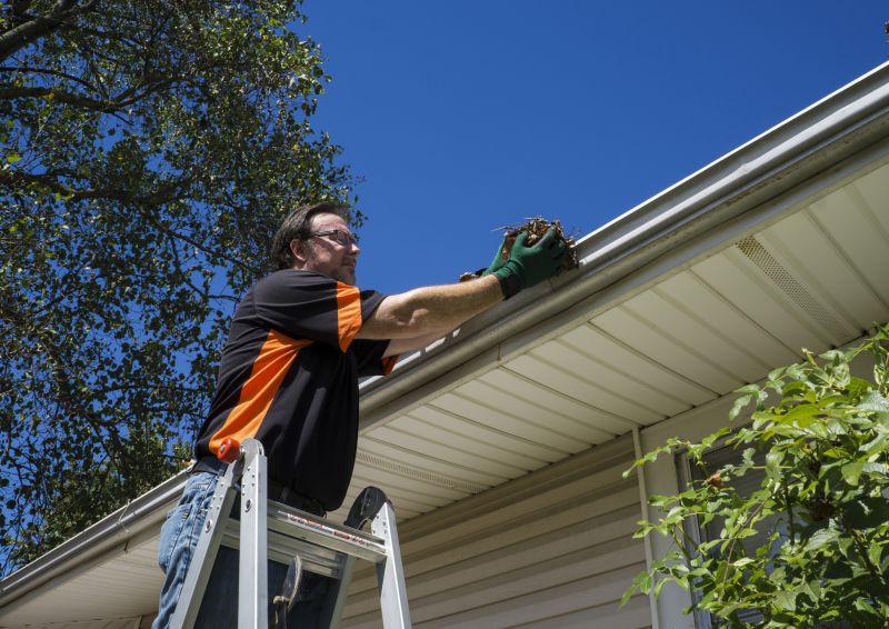 Eavestrough Clearing in Fredericksburg, VA