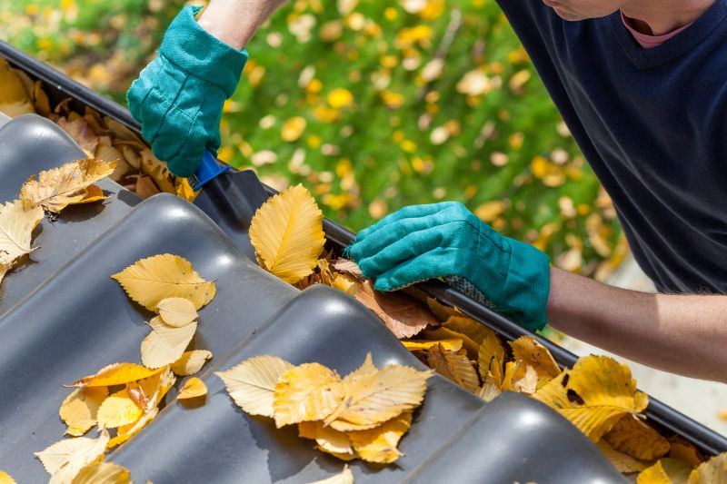 Gutter Leaf Clearing in Longmont, CO