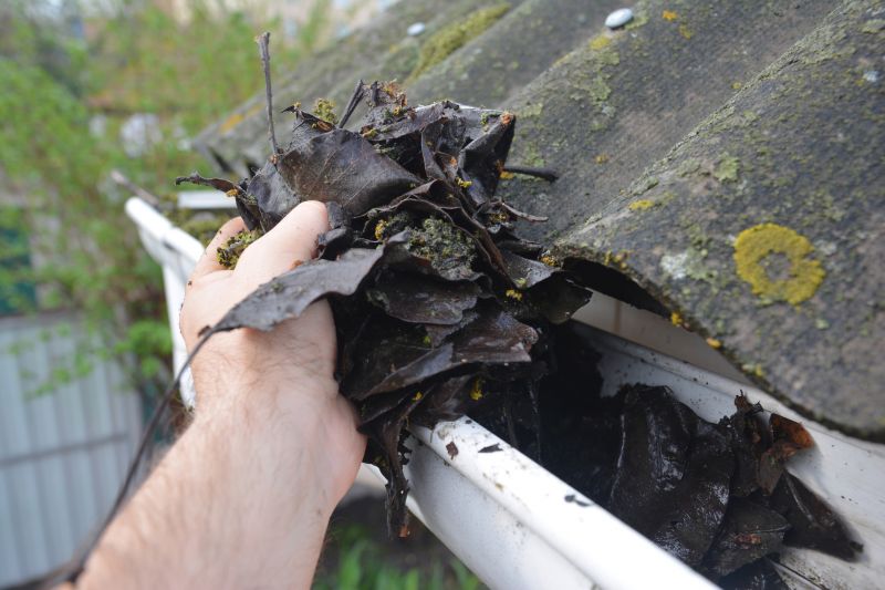 Roof Gutter Cleaning in Richmond, VA